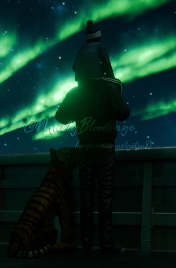 Northern Lights #1 Northern Lights #1